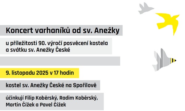 Koncert varhank od sv. Aneky